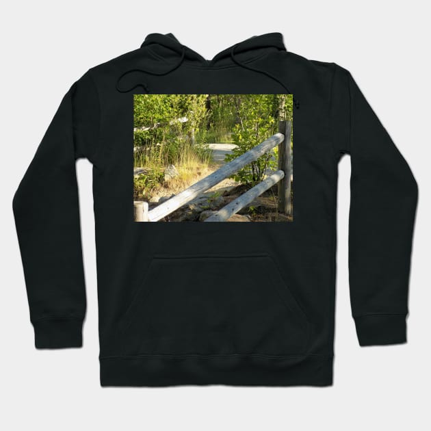 White Mountains, Lower Falls, Kancamangus Highway,New Hampshire, US Hoodie by allthumbs